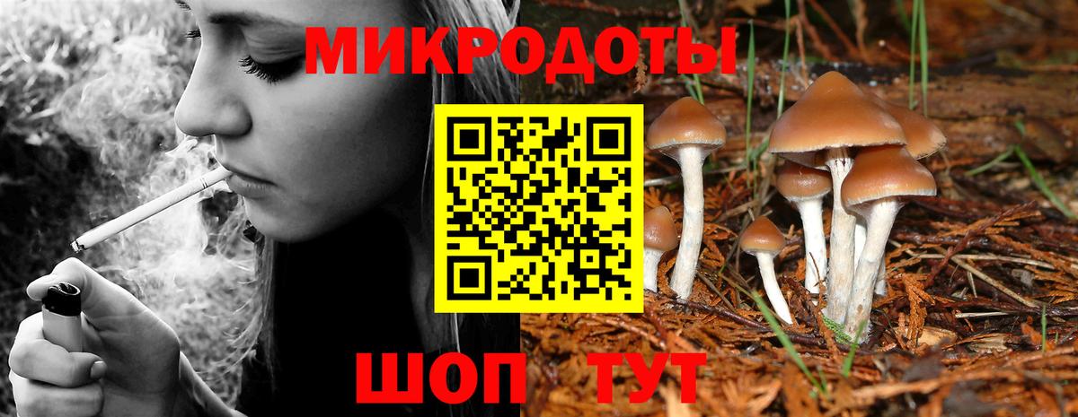 Ставрополь  закладка  Вход с VPN  Галлюциногенные грибы Cubensis 
