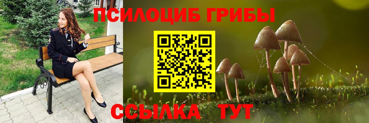 Псилоцибиновые грибы Psilocybe Ставрополь