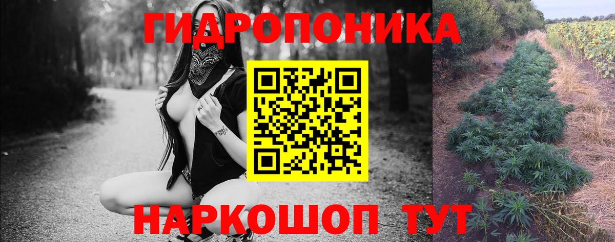 Бошки марихуана AK-47 Ставрополь